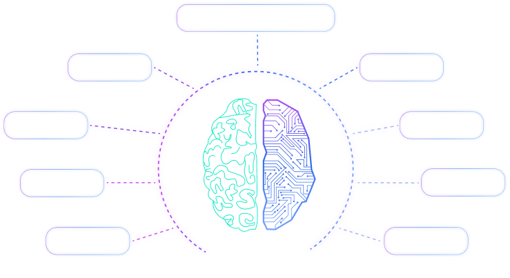 Brain