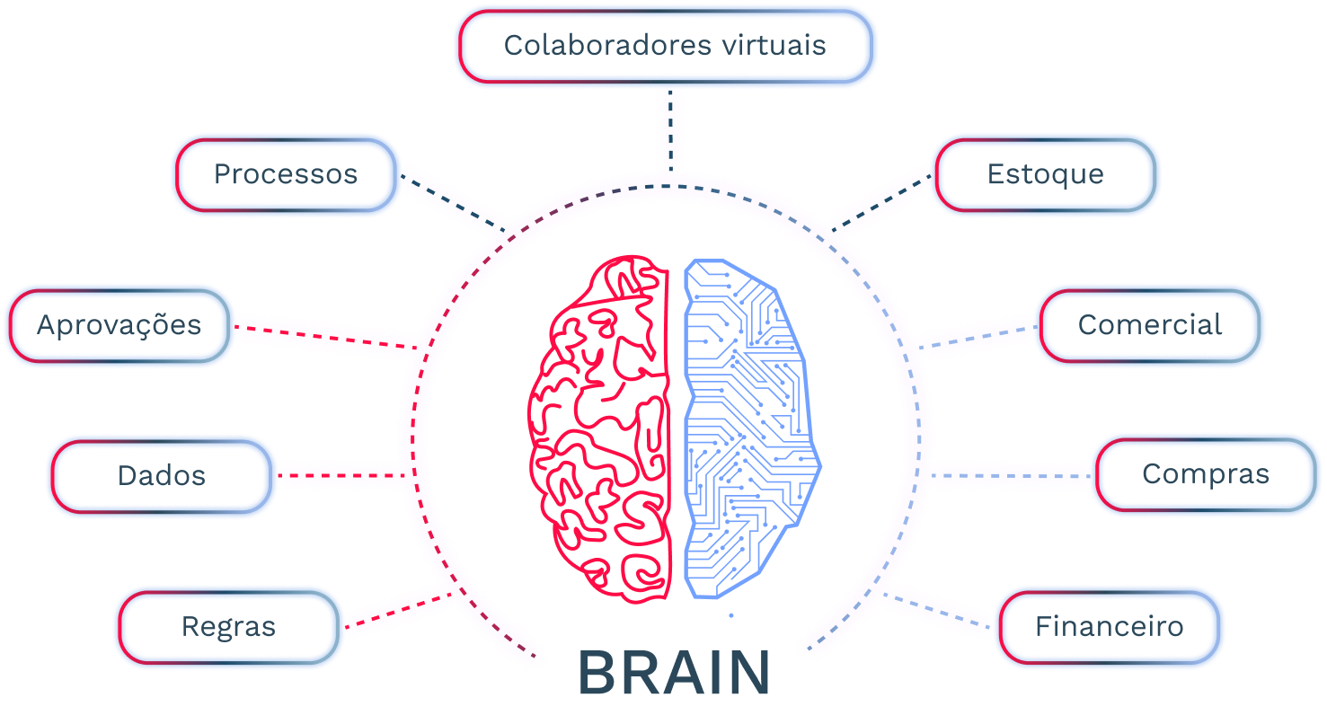 Brain